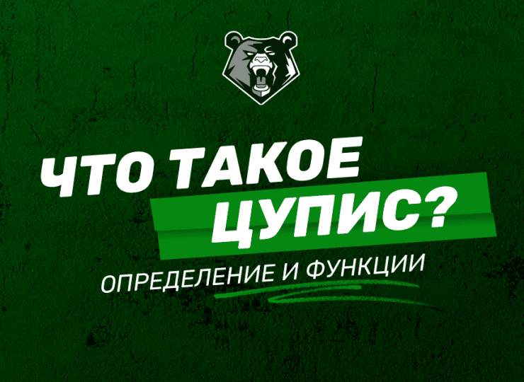 Что такое ЦУПИС: определение и функции организации