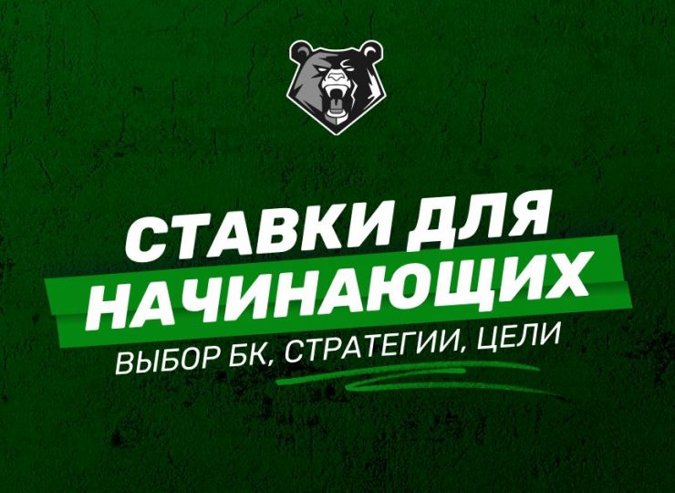 Как научиться делать ставки на спорт: гид для начинающих
