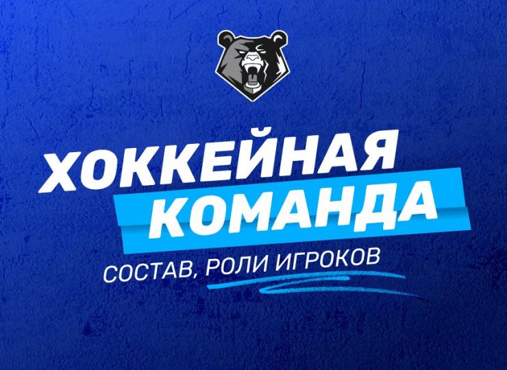 Хоккейная команда: состав, амплуа игроков и анализ позиций