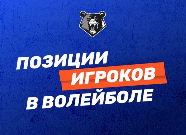 Позиции игроков в волейболе: функции и задачи каждого игрока
